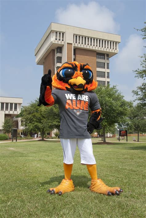 AUM's mascot, Curtiss the Warhawk, poses in front of the Young Library ...