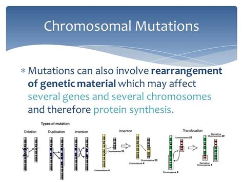 Unraveling the Mysteries: X-Men Genetic Mutations Answer Key Revealed