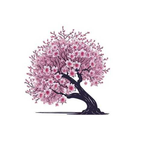 cherry blossom tree clipart on transparent background, cherry blossom ...