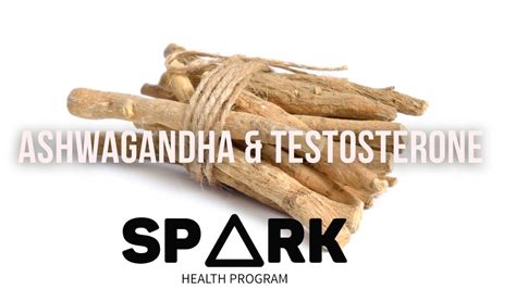 Does Ashwagandha Boost Testosterone? - Spark Health Program