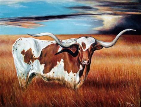 Stunning "Longhorn Steer" Artwork For Sale on Fine Art Prints