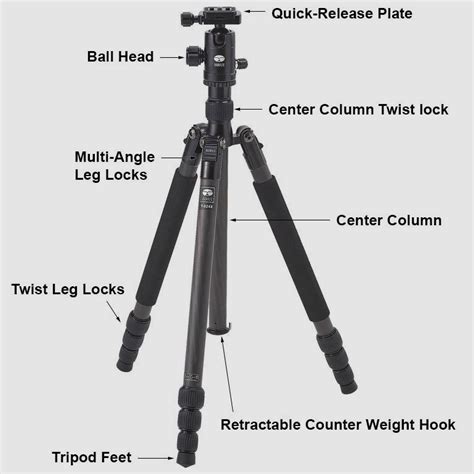 The Tripod Explained | B&H eXplora