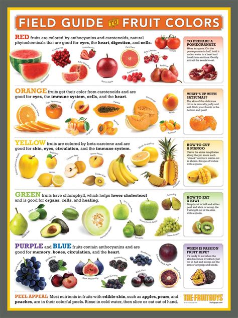 Source: https://fruitguys.com/infographics/field-guide-fruit-colors ...