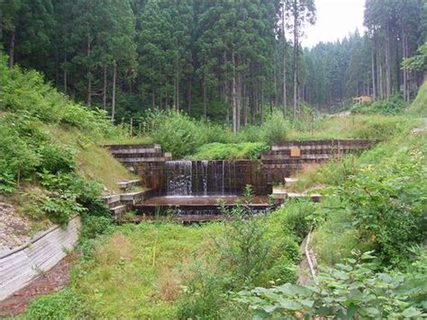 'CO2 Diet' Timber Dam Made of Japanese Cedars Recognized | Japan for Sustainability