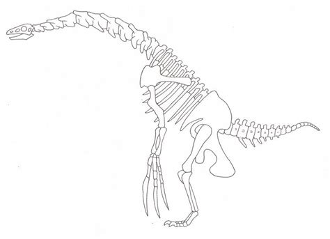 Therizinosaurus skeleton | Dinosaur skeleton, Dinosaur, Skeleton