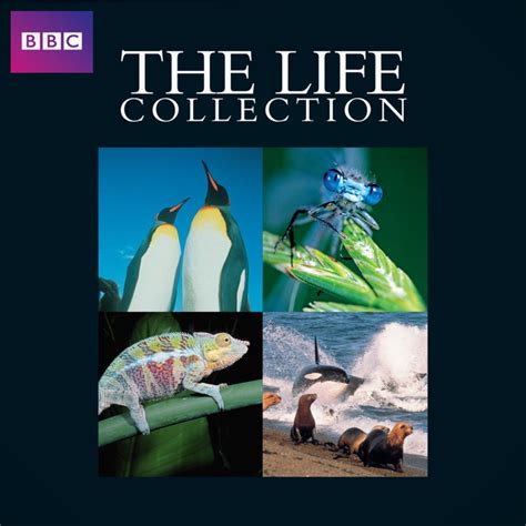 The Life Collection with David Attenborough - Apple TV (UK)