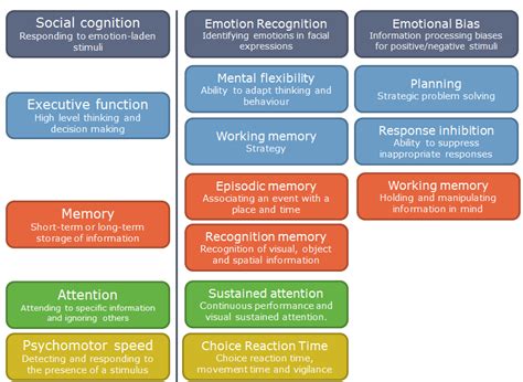 What Is Cognition & Cognitive Behaviour - Cambridge Cognition | Cambridge Cognition