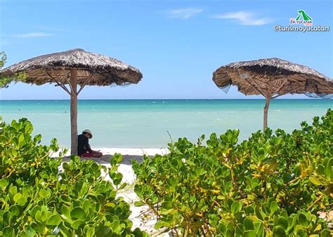 Sisal Yucatan, Explore its mangroves and enjoy its wide beaches