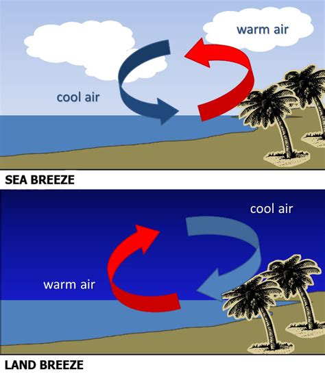 Climate Science Investigations South Florida - Energy: The Driver of ...