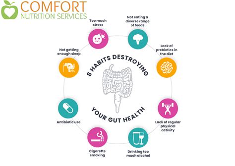 UNDERSTANDING THE SIGNS OF AN UNHEALTHY GUT AND WHAT TO DO ABOUT IT - Comfort Nutrition Services ...