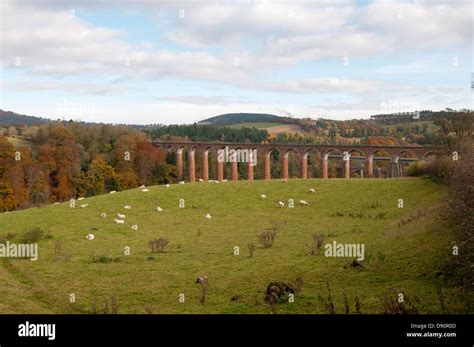 Trimontium roman fort scotland hi-res stock photography and images - Alamy