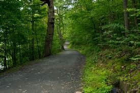 Shawnee State Park - She Flew Birding Tours