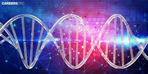 RNA Splicing: Definition, Steps, Types and Examples