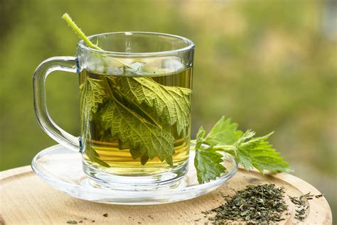 Nettle Leaf Tea - Nature's Multivitamin - Alida Deligeorges - The Gut ...