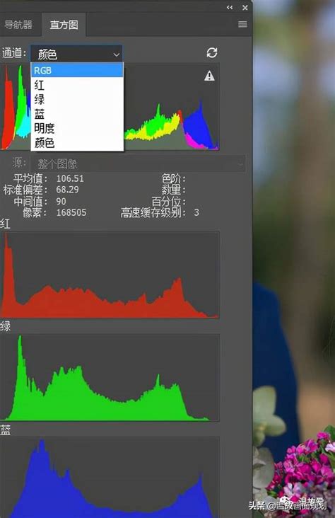 直方图是干什么用的（直方图的好处） 【百科全说】