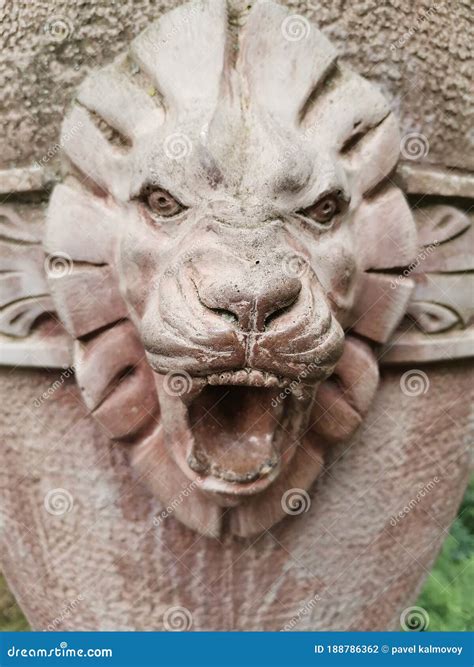 Art sculpture head lion stock photo. Image of wood, temple - 188786362