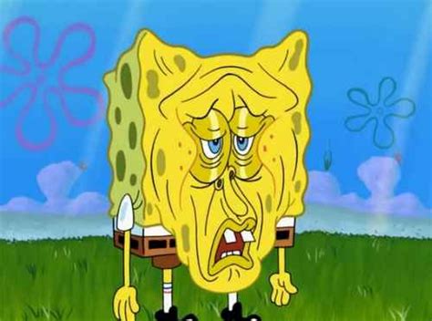 23 SpongeBob Reactions For Everyday Situations | Spongebob faces, Funny spongebob faces, Spongebob