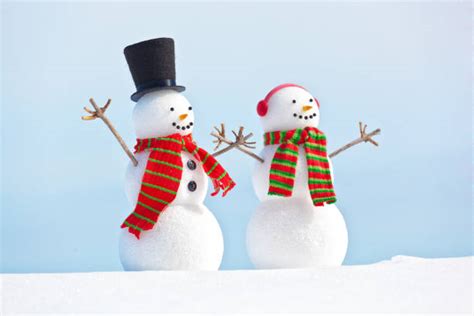 Snowwoman Stock Photos, Pictures & Royalty-Free Images - iStock