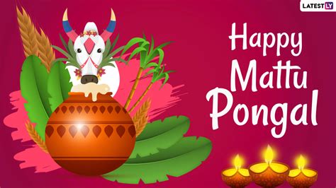 Festivals & Events News | Happy Mattu Pongal 2021 Wishes, Quotes ...