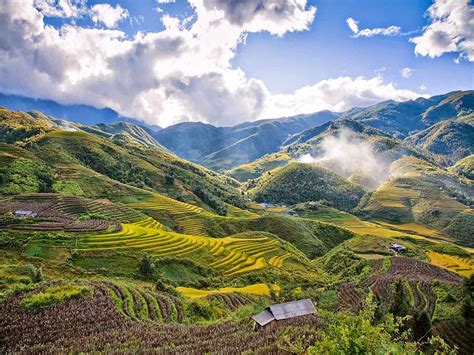 5-five-5: Sapa terraces (Sapa - Vietnam)