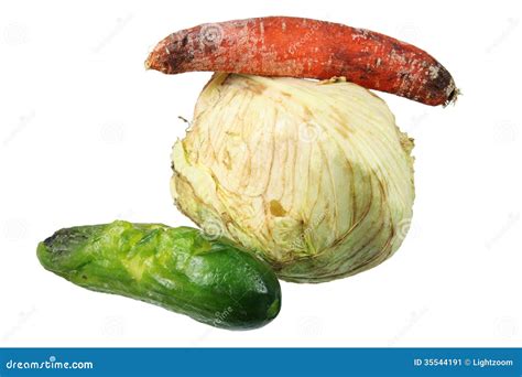 Rotten Vegetables stock image. Image of mold, background - 35544191