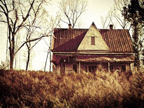 Abandoned Homestead - Cottageville, SC | Back road, Abandoned, Road