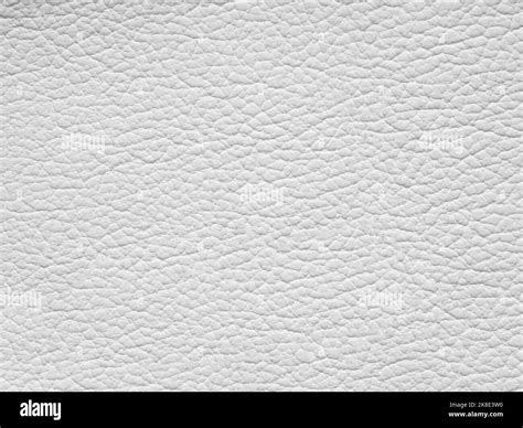 White leather texture sample. Background with copy space, top view ...