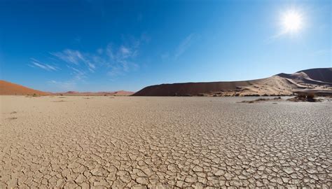 Abiotic Factors of a Desert Ecosystem | Sciencing