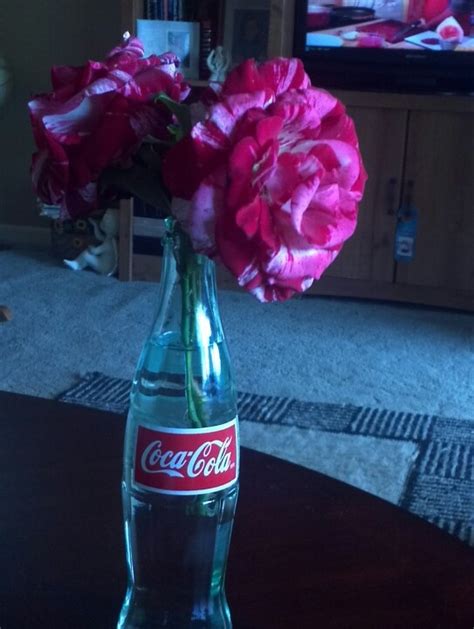 Cute vase idea for bring your outdoor beauties in! | Coca cola bottle ...
