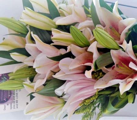 Elegant Bouquet of Pink Lilies - Birthday Flowers Online | Online Flower Deliverys to ...