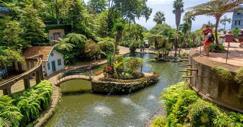 Our Ultimate Guide to Find the Best Funchal Botanical Gardens on ...