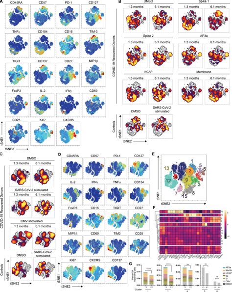 Antigen-specific CD4⁺ T cell dynamics responding to individual ...