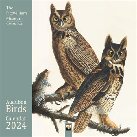 Fitzwilliam Museum: Audubon Birds Wall Calendar 2024 (Art Calendar) - Flame Tree Publishing