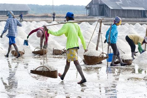 Salt farming editorial photography. Image of salty, flake - 19642322