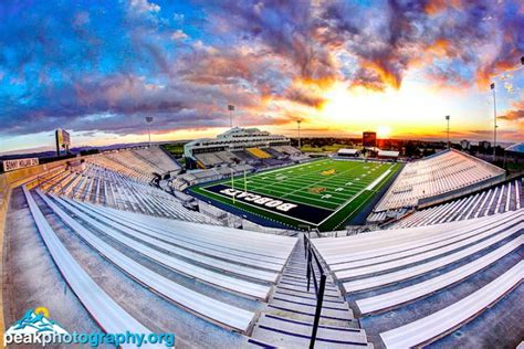 Montana State Bobcats | Montana state football, Montana state, Montana ...