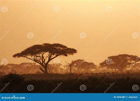 Kenya Landscape stock image. Image of national, kenya - 2056383