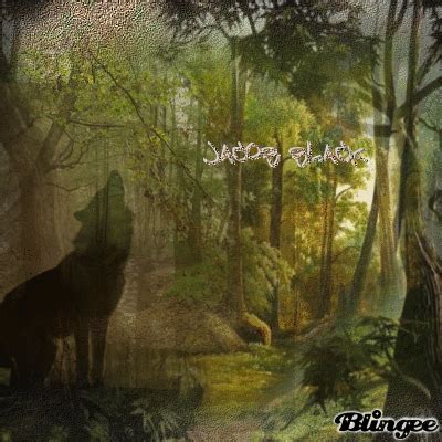 Jacob Black (Wolf Form) Picture #103252972 | Blingee.com