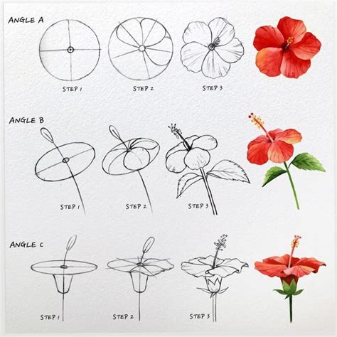 Tutorial - Flower Drawing and Painting for Beginners Flower Drawing ...