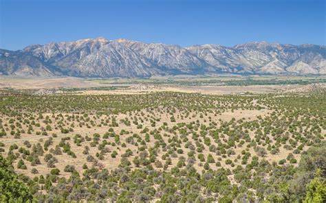 The Most Scenic Gliding Locations | Winch And Pulley