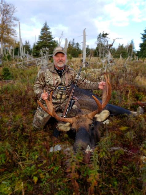 CANADA: Newfoundland Moose Hunt 2018 | AfricaHunting.com