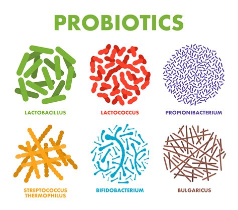 How to choose the best probiotics?
