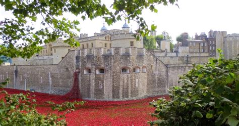 I'm Retired -- Adventures of a Simpler Life: Poppy Fields at the Tower ...