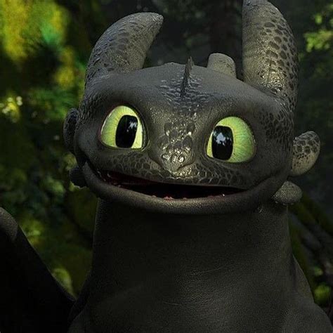 "Real Life Toothless" : httyd