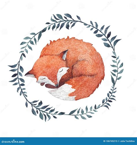 Watercolor sleeping fox stock illustration. Illustration of baby ...