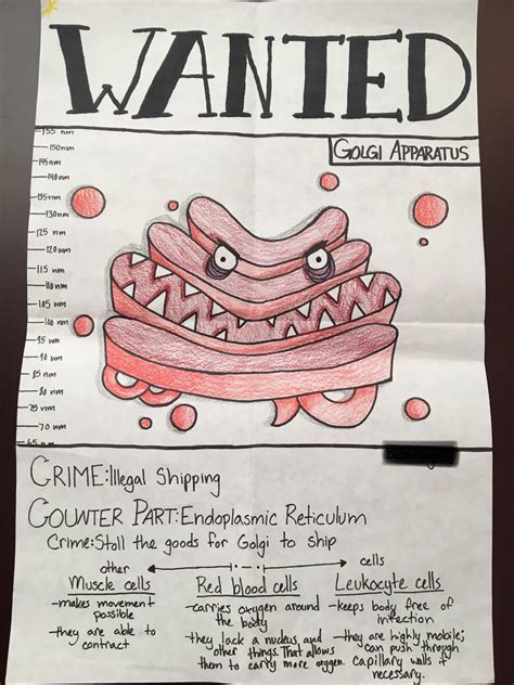 Cell Organelle Wanted Poster