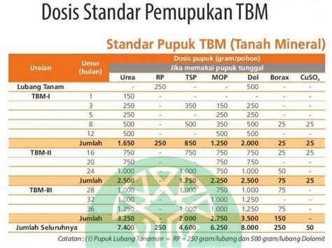 Pemupukan Kelapa Sawit Pada Masa Tbm Dan Tm Pupuk Organik Sawit - Riset