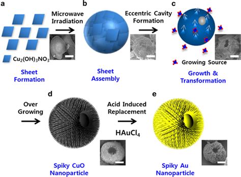 Scheme of the fabrication of the colloidal gold nanoparticles with open ...