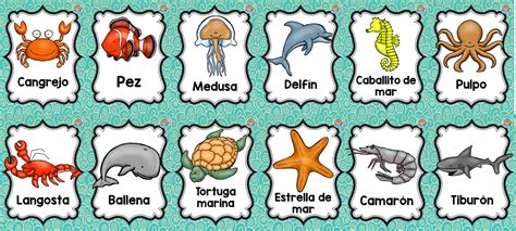 Estupedos y bonitos diseños de animales del océano | Material Educativo