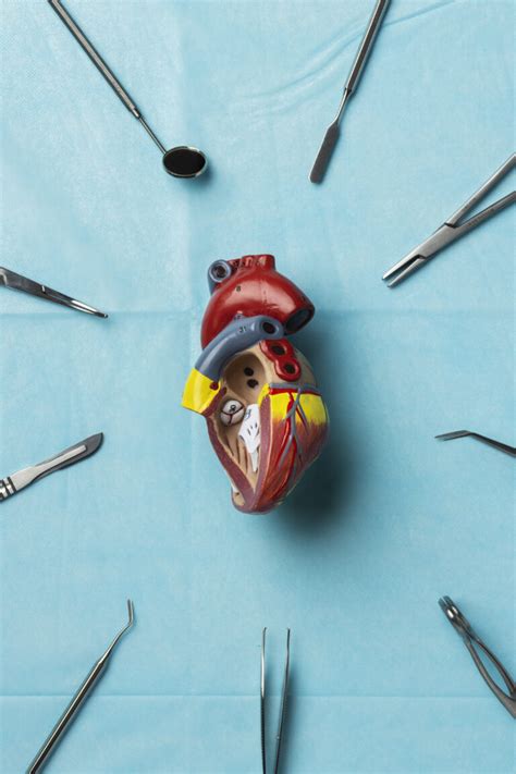 Heart Surgery in Malaysia: A Solution for Heart Valve Disease