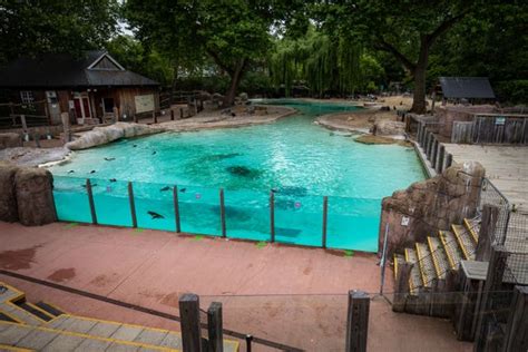 In Pictures: London Zoo gears up to welcome back visitors | Express & Star